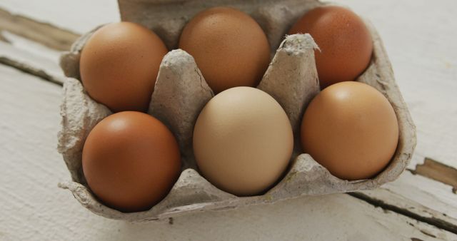 Organic Fresh Brown and White Eggs in Carton - Download Free Stock Images Pikwizard.com