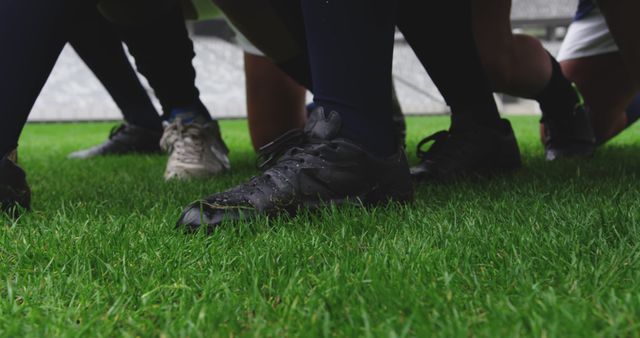 Close-up of Rugby Players in Huddle on Field - Download Free Stock Images Pikwizard.com