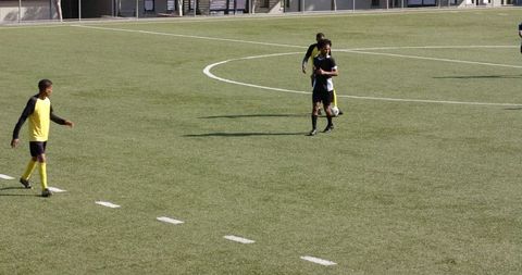 Young soccer players practicing teamwork on sunny field