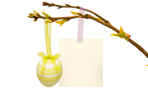 transparent spring branch with easter egg and card - Download Free Stock Videos Pikwizard.com