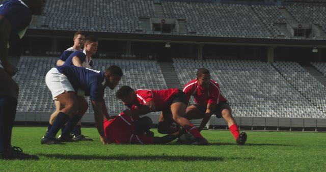 Rugby Players Competing in Stadium During Game - Download Free Stock Images Pikwizard.com