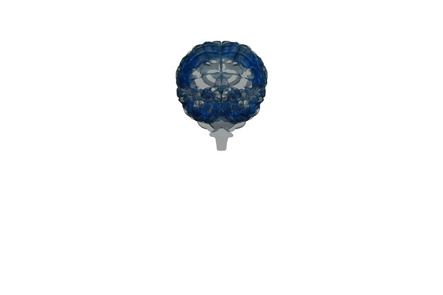 Translucent Glowing Human Brain with Dark Background - Download Free Stock Videos Pikwizard.com