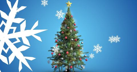 Festive Christmas Tree Decorated for Winter Celebration - Download Free Stock Images Pikwizard.com