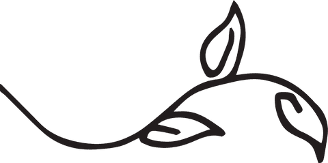 Elegant Black Branch with Leaves on Transparent Layout - Download Free Stock Videos Pikwizard.com