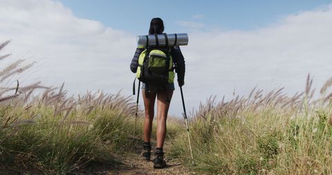 Rear View Woman Hiking with Trekking Poles in Scenic Nature Trail - Download Free Stock Images Pikwizard.com