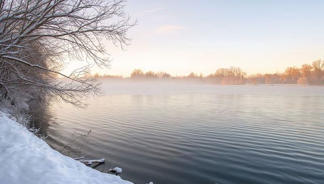 Misty Winter Sunrise Over Calm Lake with Snowy Shoreline and Bare Overhanging Branches