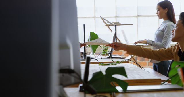 Colleagues Collaborating in Modern Office with Plants - Download Free Stock Images Pikwizard.com