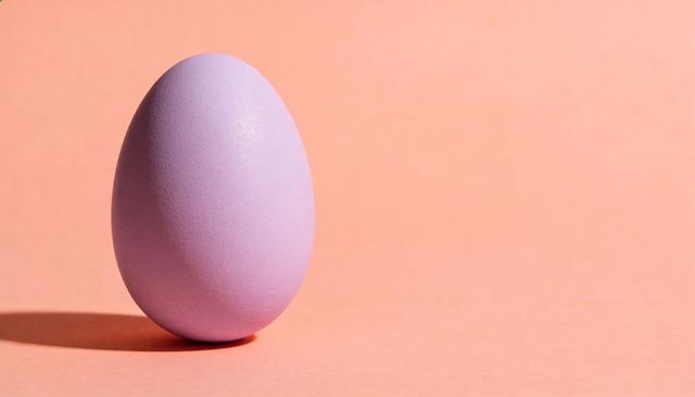 Pastel lavender egg standing on peach-pink backdrop minimalist matte still life with shadow