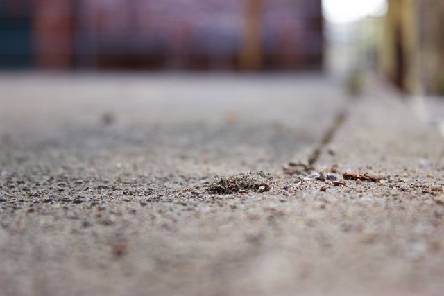 Detailed close-up of rough concrete surface with a blurred background providing a texture focus. Useful for backgrounds in graphic design projects, illustrating urban themes, or as texture research in architectural studies.