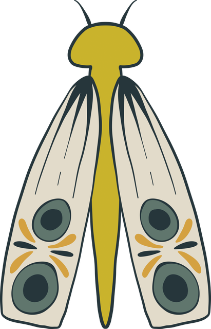 Vector Illustration of Green Moth on Transparent Background - Download Free Stock Videos Pikwizard.com