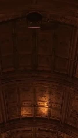 Handheld Vertical Video Capturing Ornate Coffered Vaulted Ceiling with Suspended Projector