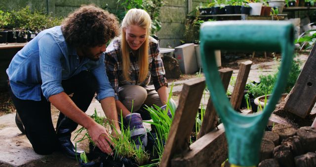 Young couple planting seedlings in backyard garden, demonstrating teamwork and enjoying outdoor activity. Great for content about gardening, relationships, and environmental awareness. Suitable for blogs, eco-friendly products promotion, and lifestyle articles.