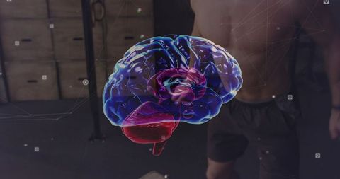 Augmented reality brain hologram floating over gym floor with neural mesh and athletic torso