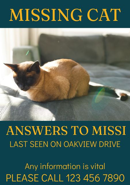Template for creating a missing pet poster featuring a cat relaxing on a sofa in sunlight. Useful for individuals seeking to raise awareness in their community about a lost pet. Easily customizable with details such as last seen location and contact information.