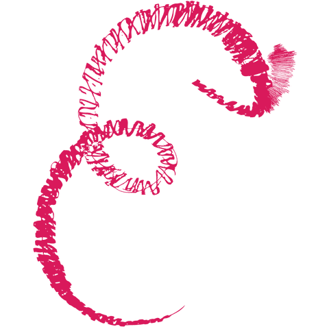 Abstract Pink Flourish on Transparent Background - Download Free Stock Videos Pikwizard.com