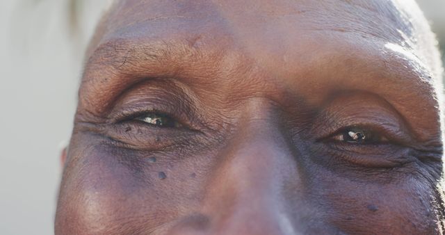 This close-up, detailed image of an older African American man captures the character and texture of his skin as he gazes forward under natural sunlight. The photograph can be used in contexts related to aging, wisdom, outdoor experiences, healthcare, and discussions about the human experience and diversity.