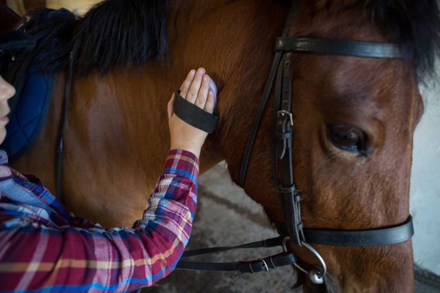 Young girl grooming a horse at a ranch on a sunny day. She is wearing a plaid shirt and using a brush to care for the horse. This image can be used for themes related to equestrian activities, animal care, outdoor hobbies, and rural life.