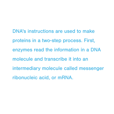 science communication png featuring dna instructions text on transparent background - Download Free Stock Videos Pikwizard.com