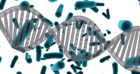 DNA Double Helix with Bacteria Cells Background - Download Free Stock Images Pikwizard.com