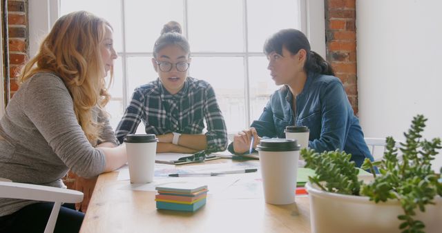 Diverse Group of Women Collaborating at Office Table - Download Free Stock Images Pikwizard.com