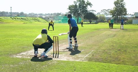 Dynamic Cricket Match Action on Verdant Field