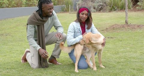 African American Man and Indian Woman Kneeling on Lawn Petting Golden Retriever