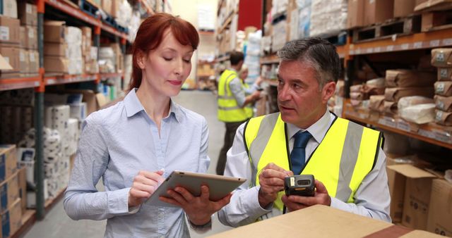 Warehouse Workers Collaborating While Taking Inventory with Tablet - Download Free Stock Images Pikwizard.com