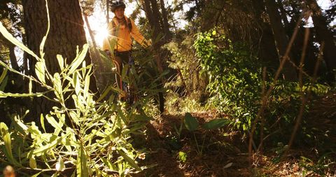 Mountain Biking Adventure in Sunlit Forest