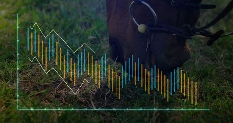 Horse Grazing with Digital Graphic Overlay Showing Data Analysis