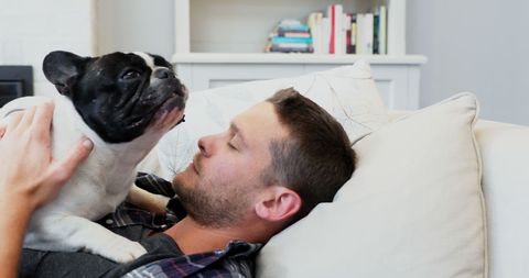 Man Enjoys Relaxing Moment with Dog on Comfortable Couch - Download Free Stock Images Pikwizard.com