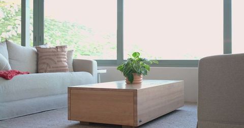Minimalist living room with low wooden coffee table, terracotta potted plant, neutral decor