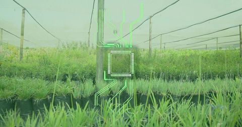 Sustainable agri-tech concept glowing microchip overlay on plant nursery under shade net