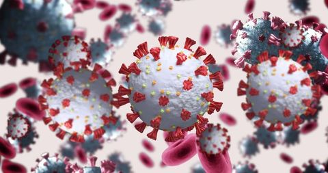 3D Illustragation of Coronavirus Cells Surrounded by Blood Cells - Download Free Stock Images Pikwizard.com