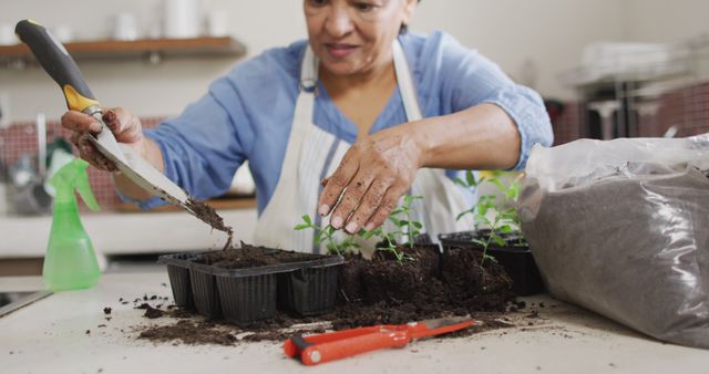 Smiling senior biracial woman wearing apron and gardening in kitchen alone. healthy and active retirement at home.
