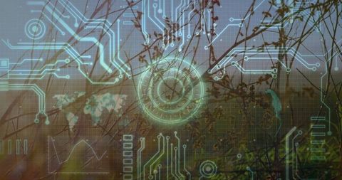 Futuristic Digital Interface Overlaying Natural Meadow Scenery