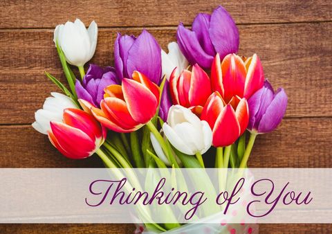 Vibrant Tulip Bouquet with Thoughtful Message - Download Free Stock Templates Pikwizard.com