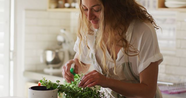 Woman Taking Care of Indoor Plants in Bright Kitchen - Download Free Stock Images Pikwizard.com