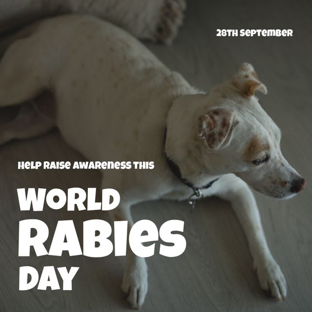 White dog sitting on floor with 28th september and help raise awareness this world rabies day. Digital composite, copy space, animal, vaccination, disease, awareness and prevention concept.