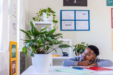 African-american schoolboy daydreaming at classroom desk near green plant and folders