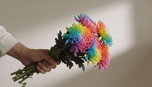 Holding rainbow chrysanthemum bouquet with vibrant multicolor petals