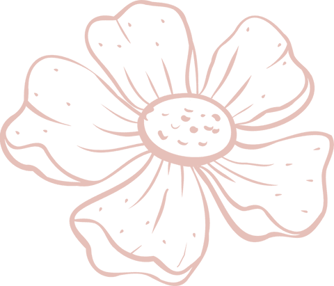 Delicate doodle daisy in pale pink on transparent background