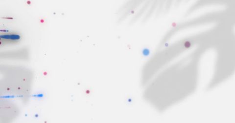 Abstract Light Spots and Leaf Shadows on White Background - Download Free Stock Images Pikwizard.com