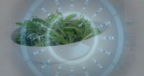 Futuristic Digital Interface with Fresh Arugula Leaves