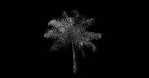 Abstract Distorted Palm Tree Illustration on Black Background - Download Free Stock Images Pikwizard.com