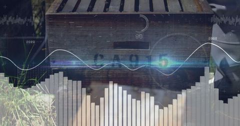 Smart beehive with advanced sensor data display