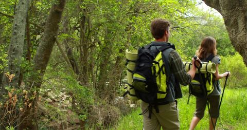 Young Hikers Exploring Lush Forest Trail on Adventure - Download Free Stock Images Pikwizard.com