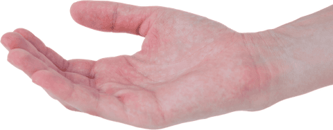 Transparent Female Hand Open Gesture Expressing Invitation or Offering - Download Free Stock Videos Pikwizard.com