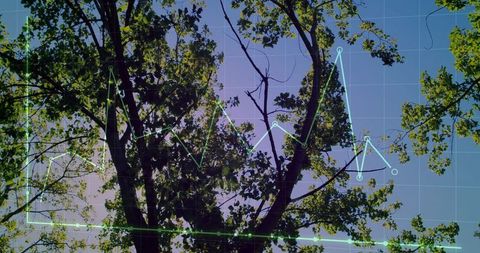 Eco-Analtyics: Tree Canopy with Line Graph Overlay