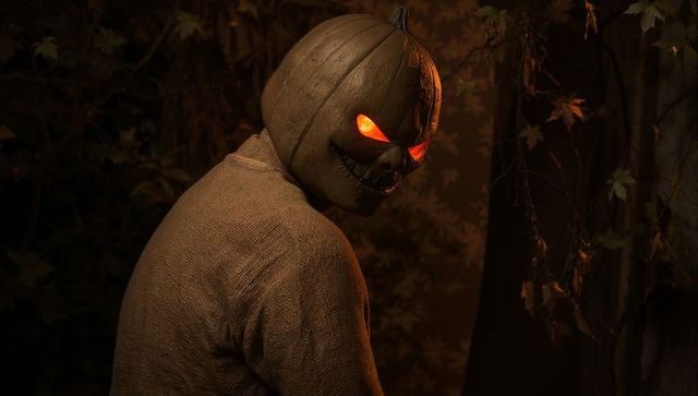 Eerie Pumpkin-Headed Figure Gazing in Shadowy Nocturnal Forest