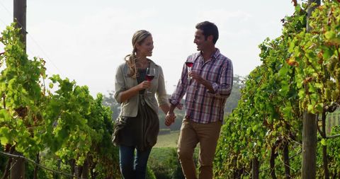 Couple Enjoying Leisurely Walk in Lush Vineyard - Download Free Stock Images Pikwizard.com